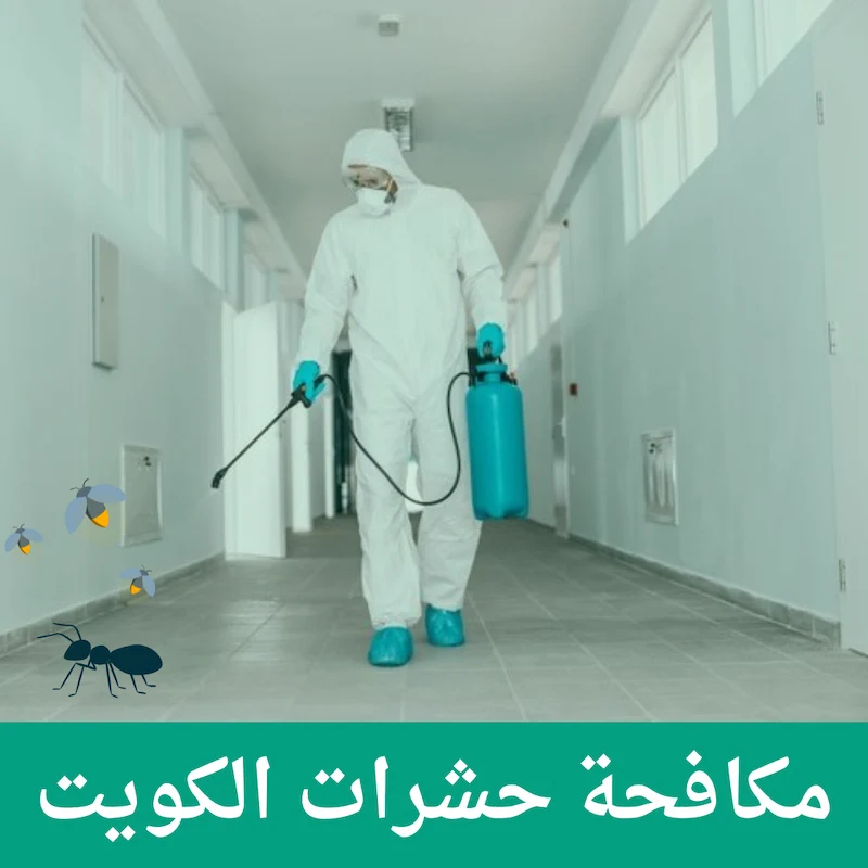 وصف الصورة