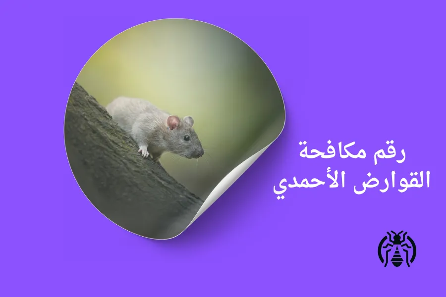رقم مكافحة القوارض الأحمدي