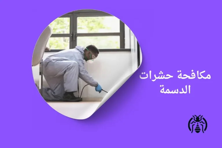 مكافحة حشرات الدسمة